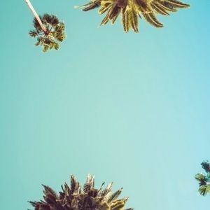 Meet your Posher, Candice